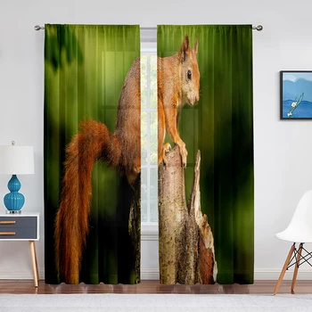 Белка, стоящая на ветке дерева, животное, прозрачные шторы из вуали для гостиной, современные шторы для кухни, шифоновая тюлевая штора